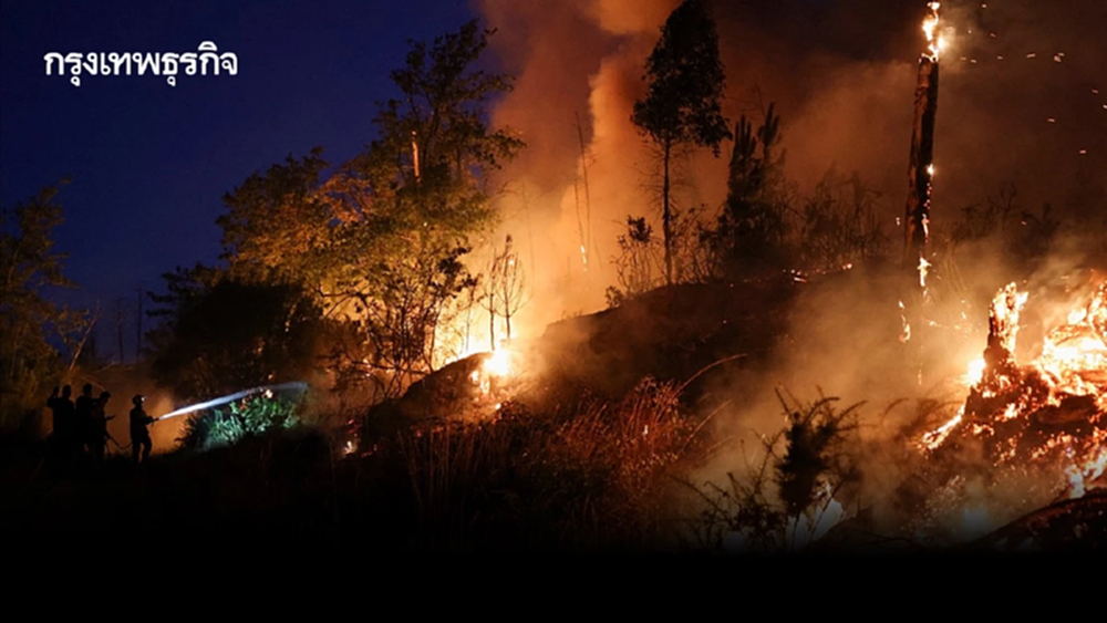 ‘ยุโรป’ เจอ ‘ไฟป่า’ รุนแรงที่สุดรอบ 20 ปี คร่าชีวิตคนนับร้อย พื้นที่เสียหายหลายล้านไร่