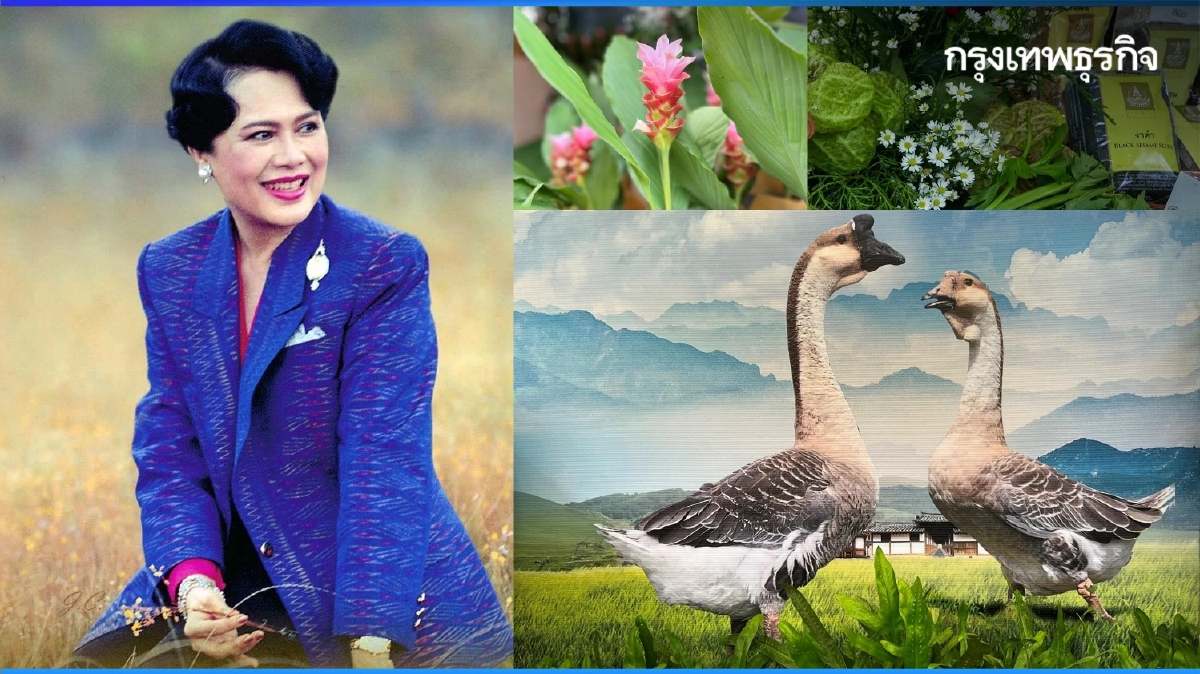 งานสีสรรพรรณไม้ฯ 68: ชิมเมนูราชสำนัก ชมห่านหัวสิงโต ปลาบอลลูน