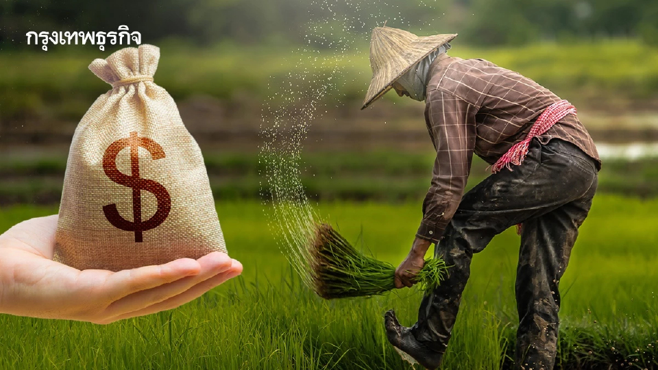 ครม.ไฟเขียว 1 แสนล้านอุ้มชาวนา แจกไร่ละพัน - สินเชื่อชะลอขายข้าว