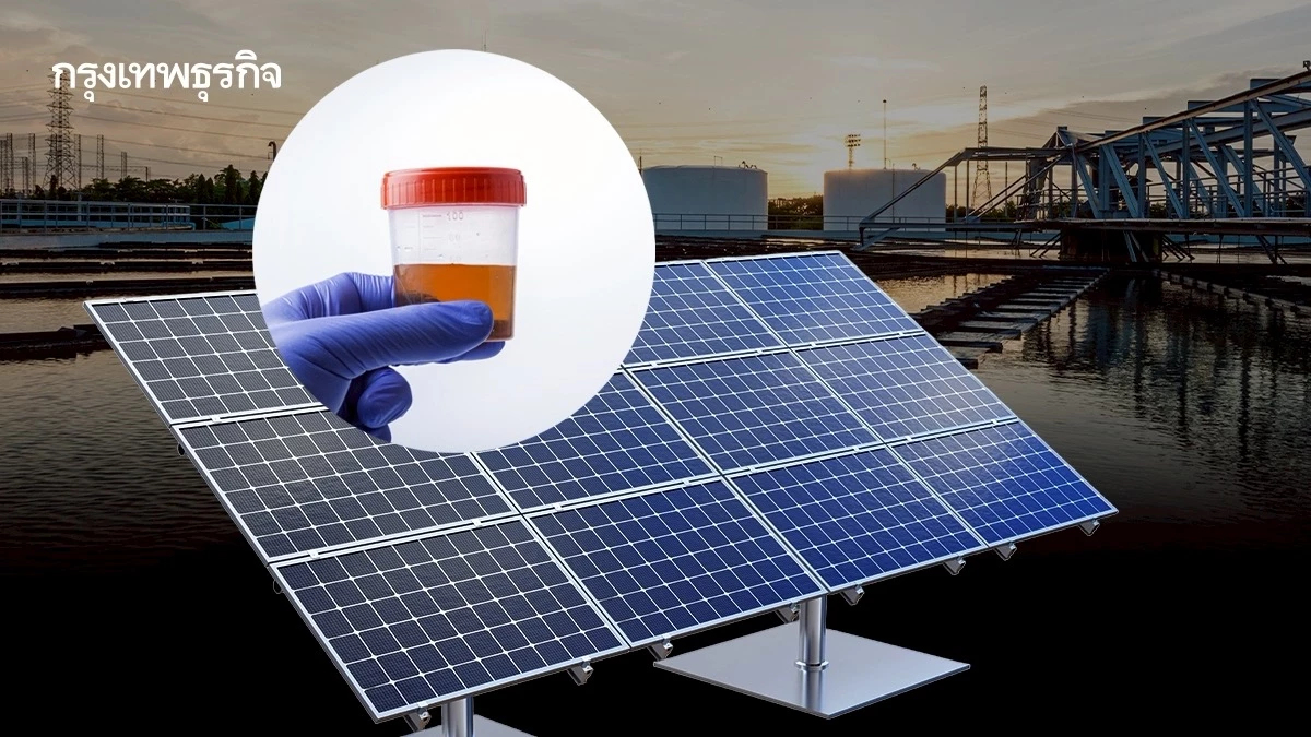 เปลี่ยนฉี่ให้เป็นปุ๋ย ด้วย ‘โซลาร์เซลล์’  ลดต้นทุน แก้ปัญหาน้ำเสีย