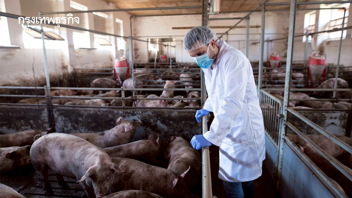 เปิดประตูให้หมูสหรัฐ จุดท้าทายความมั่นคงอาหารไทย | นิพนธ์ ตันติพิริยะพงศ์