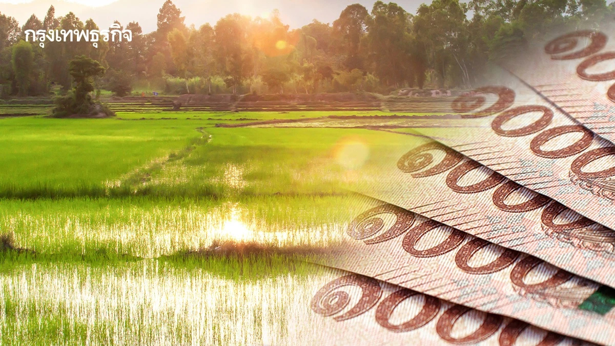 ครม. อนุมัติงบ 4.5 หมื่นล้าน แจกเงินไร่ละ 1,000 บาท โอนตรงเข้าบัญชี