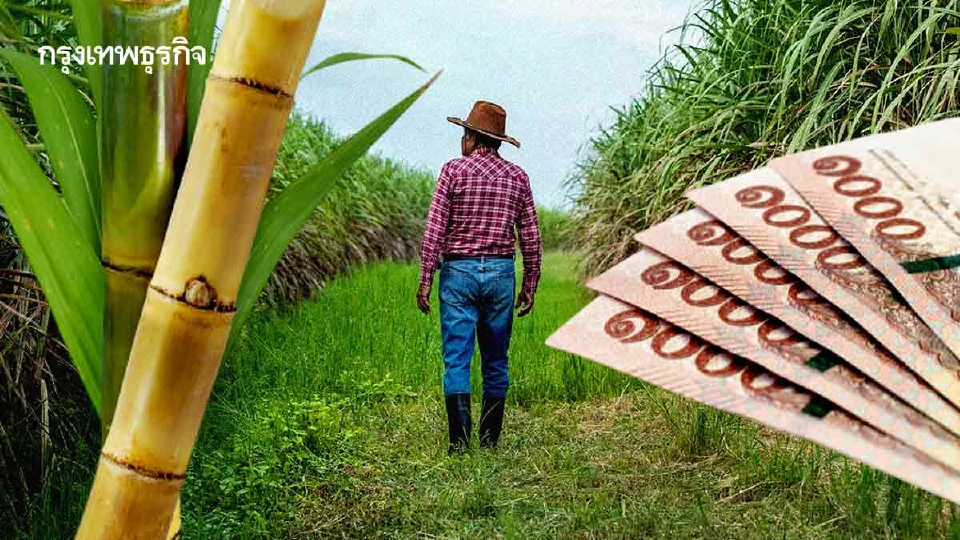 รัฐทุ่ม‘6พันล้าน’ชดเชยดอกเบี้ย‘ชาวไร่อ้อย’  ยกระดับจัดการแหล่งน้ำ-เครื่องจักรเกษตร