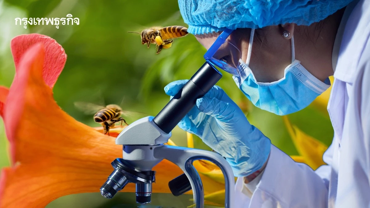 ผลิตสีจากธรรมชาติ ด้วย ‘DNA’ แก้ปัญหาสารเคมีปนเปื้อนสิ่งแวดล้อม