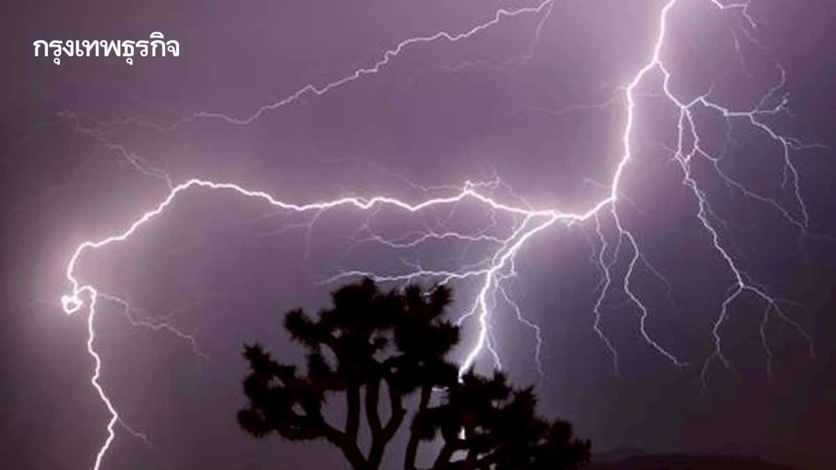 ‘ฟ้าผ่า’ ใหญ่ที่สุดในโลก ยาวกว่า 800 กม. ตัวการไฟป่าสร้างความเสียหาย