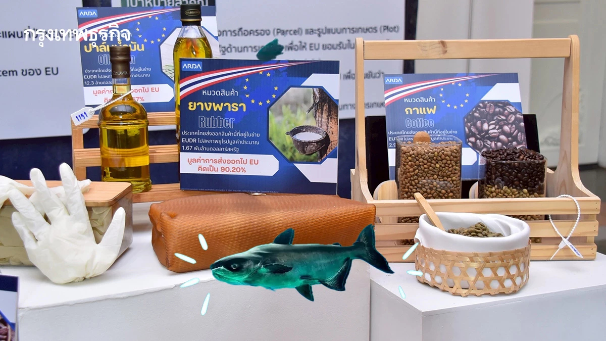 ‘สินค้าเกษตร’เร่งเครื่องปรับตัวรับ  ‘ระเบียบไม่ทำลายป่า’สหภาพยุโรป