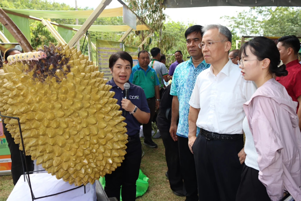 กรมส่งเสริมการเกษตร เปิดสวนทุเรียนใต้ ตอกย้ำความเชื่อมั่น สู่ตลาดจีน
