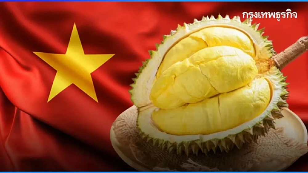 สื่อชี้จีนคุมเข้ม 'ทุเรียนเวียดนาม' หลังเจอสารอันตรายเกินขนาด 2 รายการ