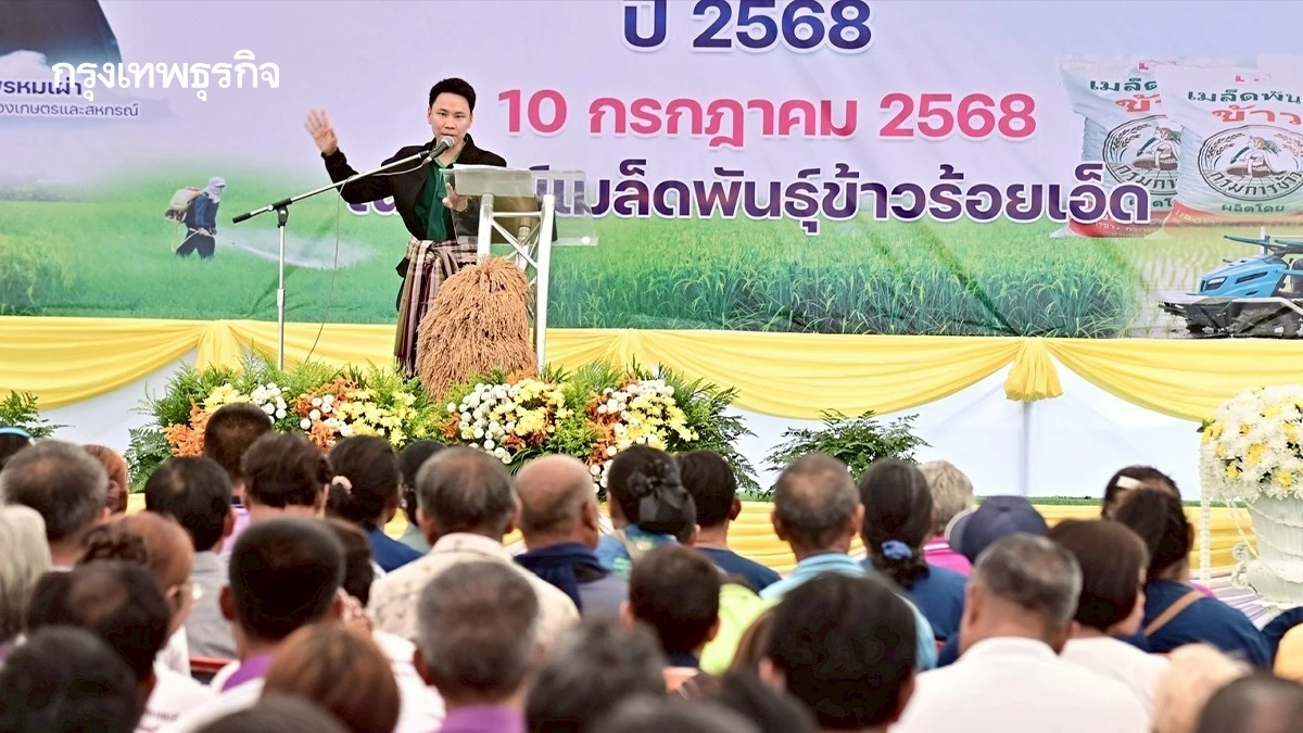 นบข. เห็นชอบแล้ว แจกเงินไร่ละ 1,000 บาท ทั้งนาปรัง  นาปี 68 เสนอ ครม.เร็วๆ นี้