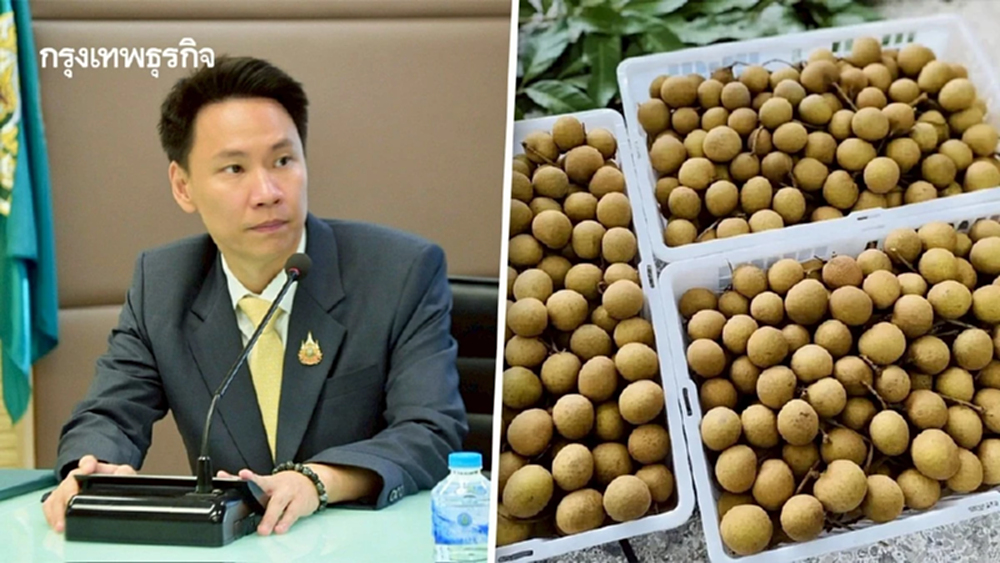 เกษตร เล็งเจรจา รับกฎจีน เข้มตรวจสารซัลเฟอร์ ตกค้างลำไย