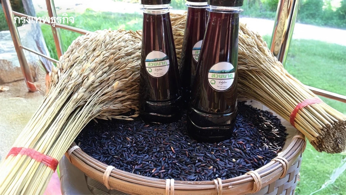 'กรมการข้าว' โชว์นาแปลงใหญ่ ยกระดับมาตรฐานอินทรีย์ด้วยเทคโนโลยี