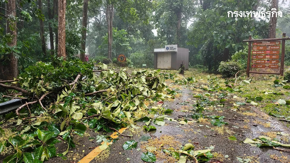 พายุคาจิกิ พ่นพิษ ถล่มภาคเหนือ อุทยานฯ ดอยขุนตาล ฝนตกหนักมาก ลมแรง