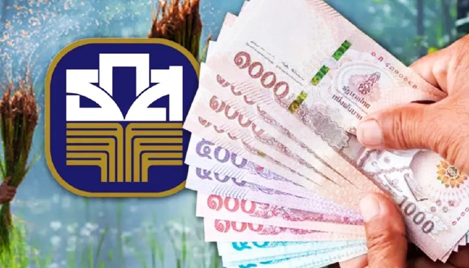 แจกเงินไร่ละ 1000 บาท เช็กแล้ว อัปเดตวันนี้ ล่าสุดรู้ก่อนใคร