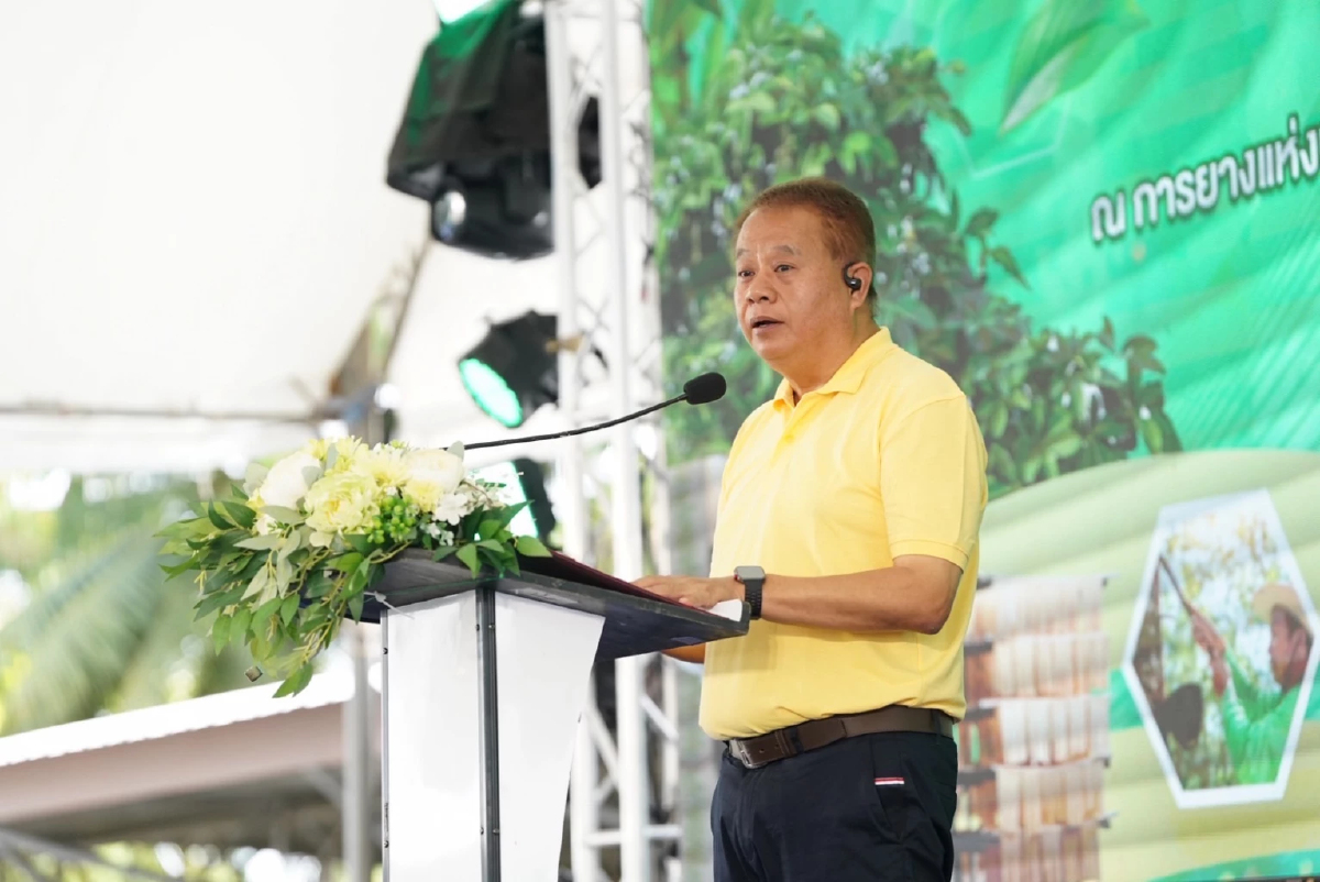 กยท.หนุนเกษตรกรปลูกยางทดแทน เร่งจ่ายกว่า 2,800 ล้าน ภายใน ก.ย.