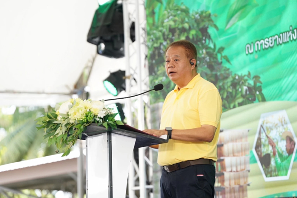 กยท.หนุนเกษตรกรปลูกยางทดแทน เร่งจ่ายกว่า 2,800 ล้าน ภายใน ก.ย.