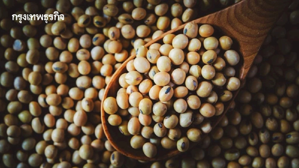 กรุงเทพโปรดิ๊วส ขยายความร่วมมือ บังกี้ ใช้บล็อกเชนตรวจย้อนกลับถั่วเหลือง