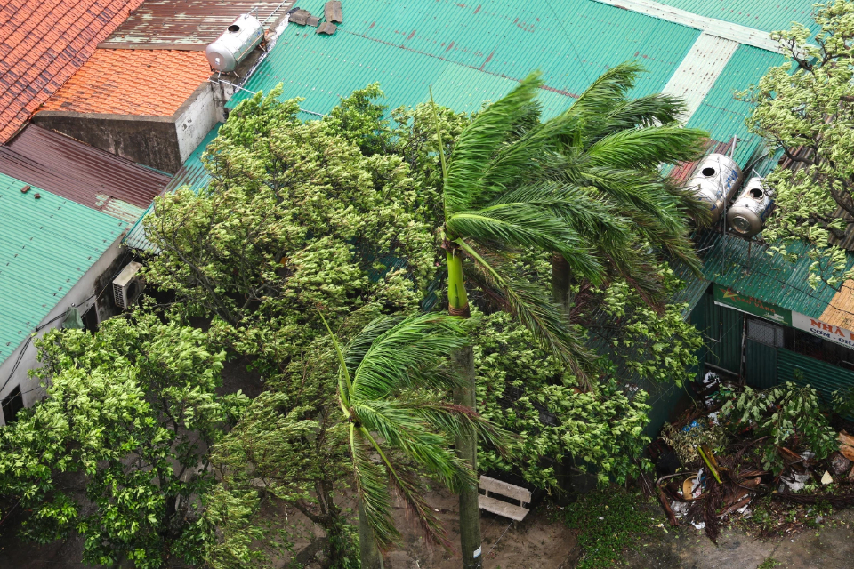 ซูเปอร์ไต้ฝุ่นรากาซากำลังมา! ฮ่องกงเตรียมปิดสนามบิน 36 ชม.