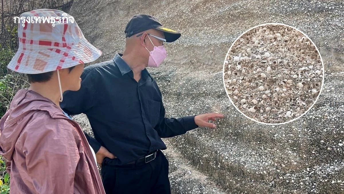 'ซากหอยขม' แม่เมาะ อายุ 13 ล้านปี คว้าสถานะ 'แหล่งซากดึกดำบรรพ์แห่งที่ 27'