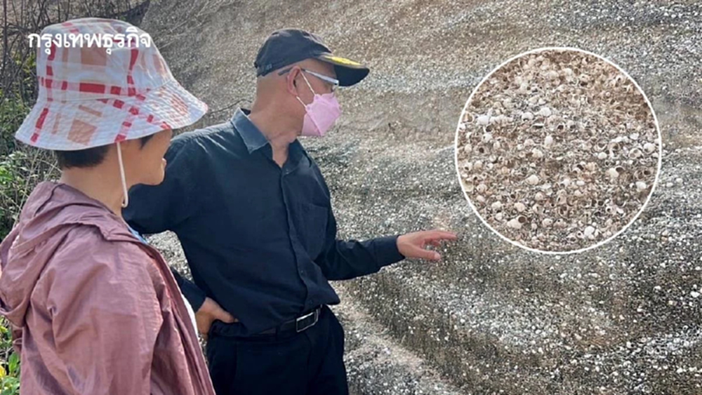 'ซากหอยขม' แม่เมาะ อายุ 13 ล้านปี คว้าสถานะ 'แหล่งซากดึกดำบรรพ์แห่งที่ 27'