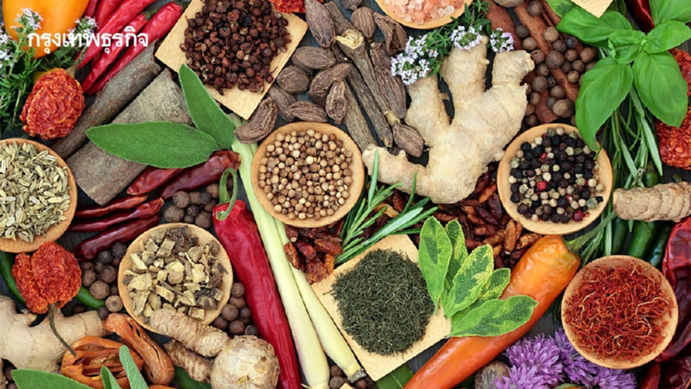 หน้าฝน 'สมุนไพรเผ็ดร้อน' เสริมภูมิคุ้มกัน ปรับสมดุลธาตุ