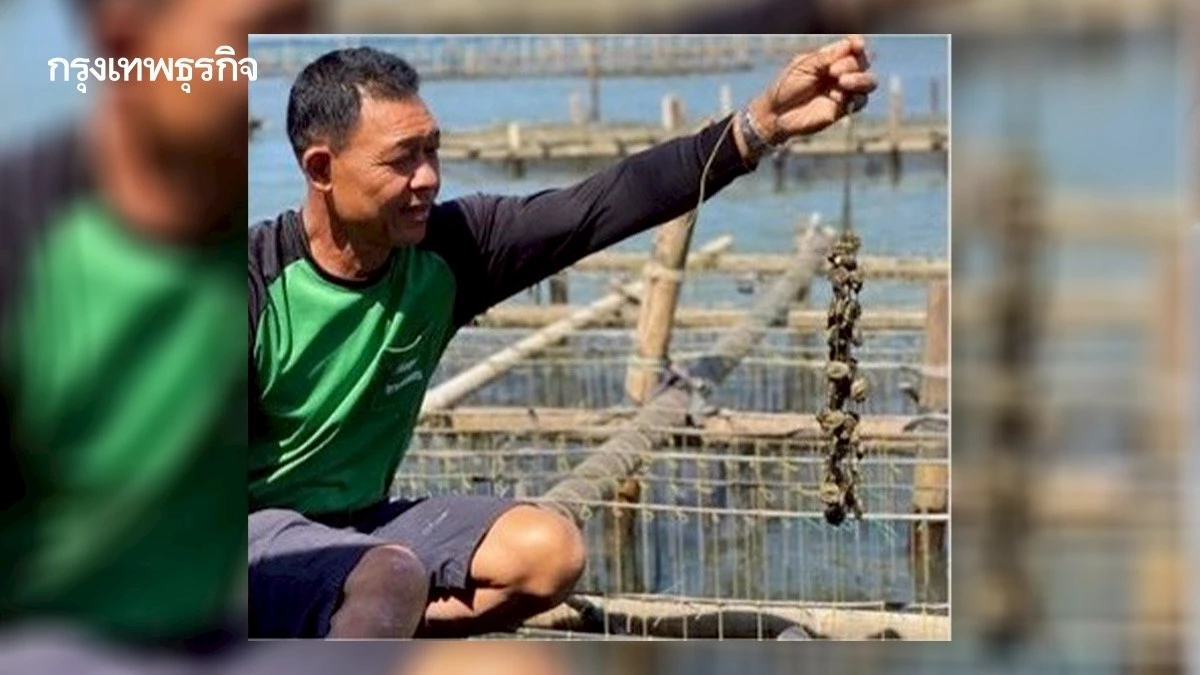 กรมประมงวางโรดแมปยกระดับการเพาะเลี้ยงสัตว์น้ำไทยสู่ความยั่งยืน