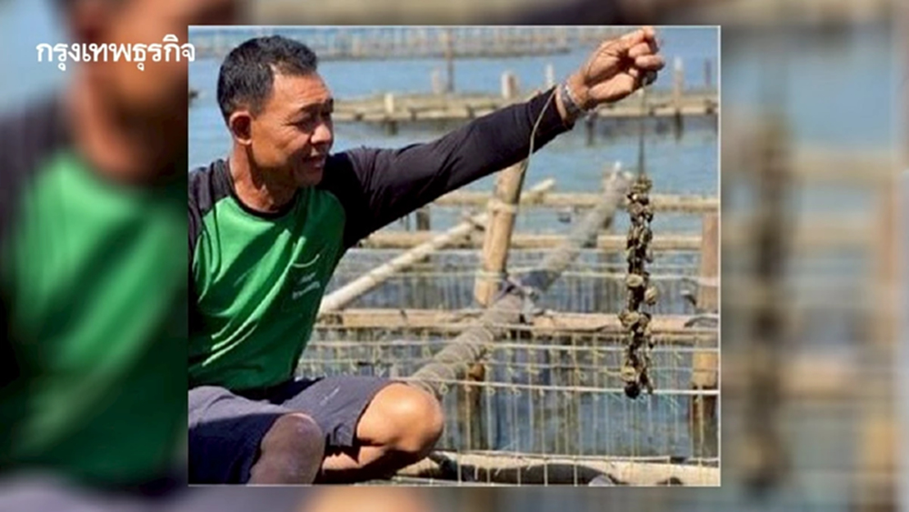 กรมประมงวางโรดแมปยกระดับการเพาะเลี้ยงสัตว์น้ำไทยสู่ความยั่งยืน
