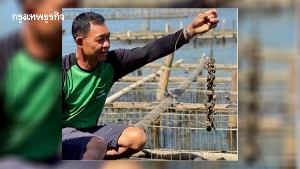 กรมประมงวางโรดแมปยกระดับการเพาะเลี้ยงสัตว์น้ำไทยสู่ความยั่งยืน