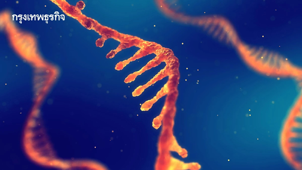 ครั้งแรกในเอเชีย 'LIFE-SEQ'ตรวจคัดกรองเด็กทารก ค้นหาโรคพันธุกรรมหายาก