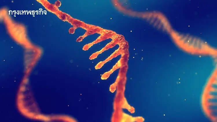 ครั้งแรกในเอเชีย 'LIFE-SEQ'ตรวจคัดกรองเด็กทารก ค้นหาโรคพันธุกรรมหายาก