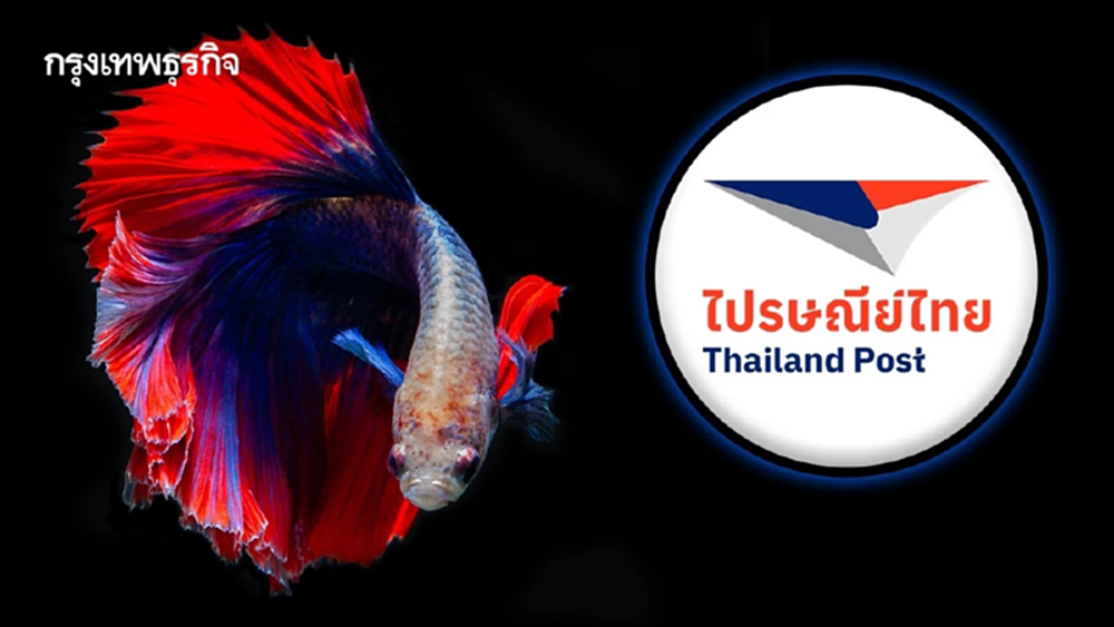 ไปรษณีย์ไทย–กรมประมง รุกตลาดสัตว์น้ำสวยงาม ส่งปลากัดไทยนำร่อง 5 ประเทศชิงเค้กหมื่นล.