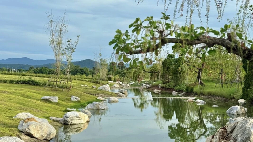 นิยามใหม่ของ 'ที่อยู่อาศัย DALTON' กับการใช้ชีวิตอย่างยั่งยืน