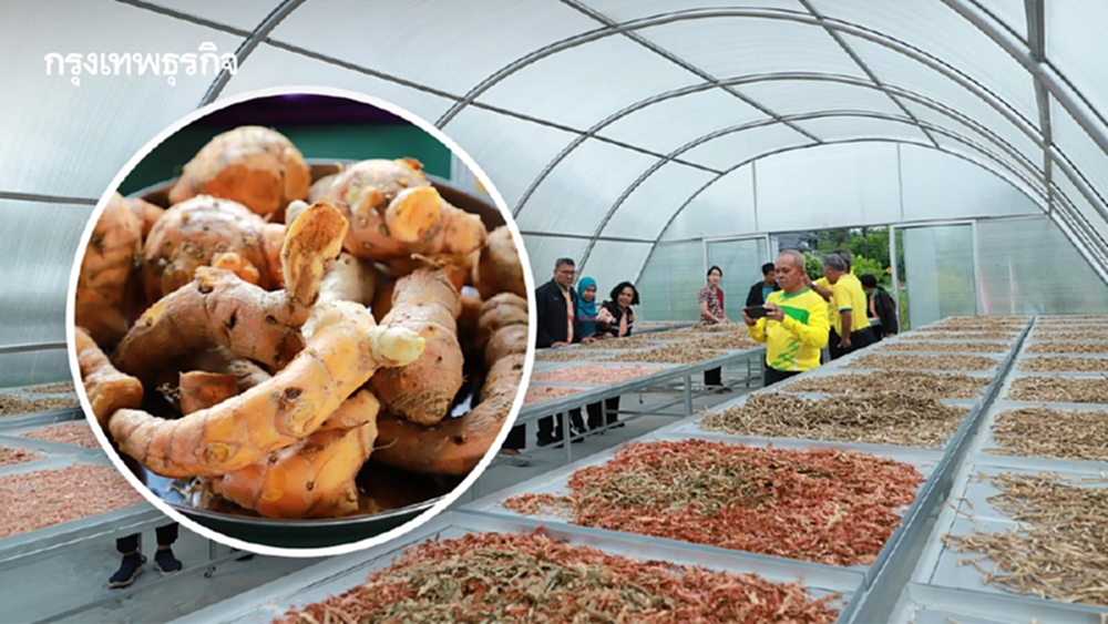 ไทย-เยอรมมัน ดัน สตูล เป็นเมืองสมุนไพรคุณภาพเพื่อการเภสัชกรรม