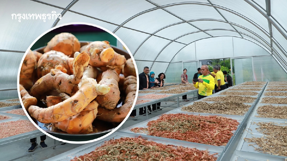 ไทย-เยอรมมัน ดัน สตูล เป็นเมืองสมุนไพรคุณภาพเพื่อการเภสัชกรรม