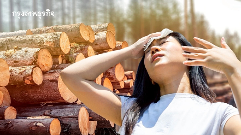 งานวิจัยชี้ 'อาเซียน' เสี่ยงสูงสุด การตัดไม้ทำลายป่าคร่าชีวิตคนจากความร้อน 28,000 รายทั่วโลก