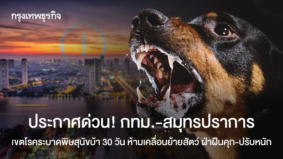 12 โรค ต้องเฝ้าระวังปี 2567 - โรงพยาบาลศิครินทร์