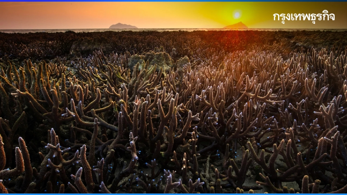 7 ไฮไลต์ศิลปะและความยั่งยืนใน Sustainability Expo 2025 (SX2025)