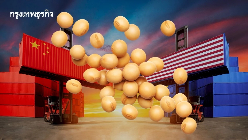 ‘จีน’ ใช้ถั่วเหลืองกดดัน ‘สหรัฐ’  หยุดซื้อในรอบ 30 ปี หวังต่อรองการค้า