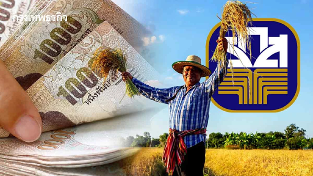 ชาวนา 3.3 ล้านครัวเรือนแห่รับ‘ไร่ละพัน’  ‘เกษตร’ตรวจข้อมูลก่อนส่ง‘ธกส.’เร่งจ่าย