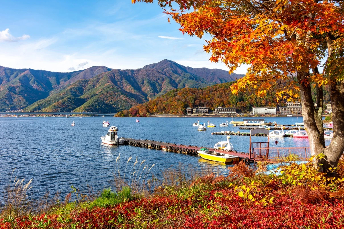 เปิดสถิติ คนไทยเที่ยว ‘ญี่ปุ่น’ 7 เดือนแรกปี 2568 สะสมกว่า 7.3 แสนคน โตดี 8.5%