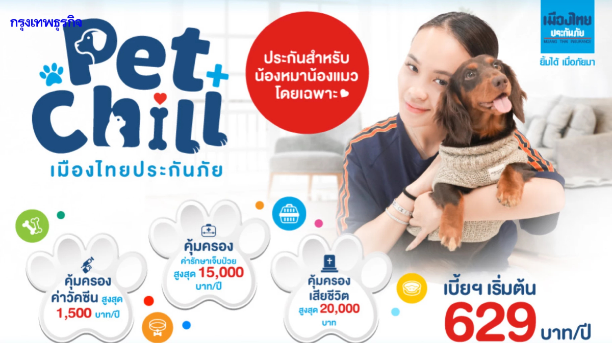 เมืองไทยประกันภัย ส่ง ‘ประกันสัตว์เลี้ยง Pet Chill’ รับ Pet Humanization
