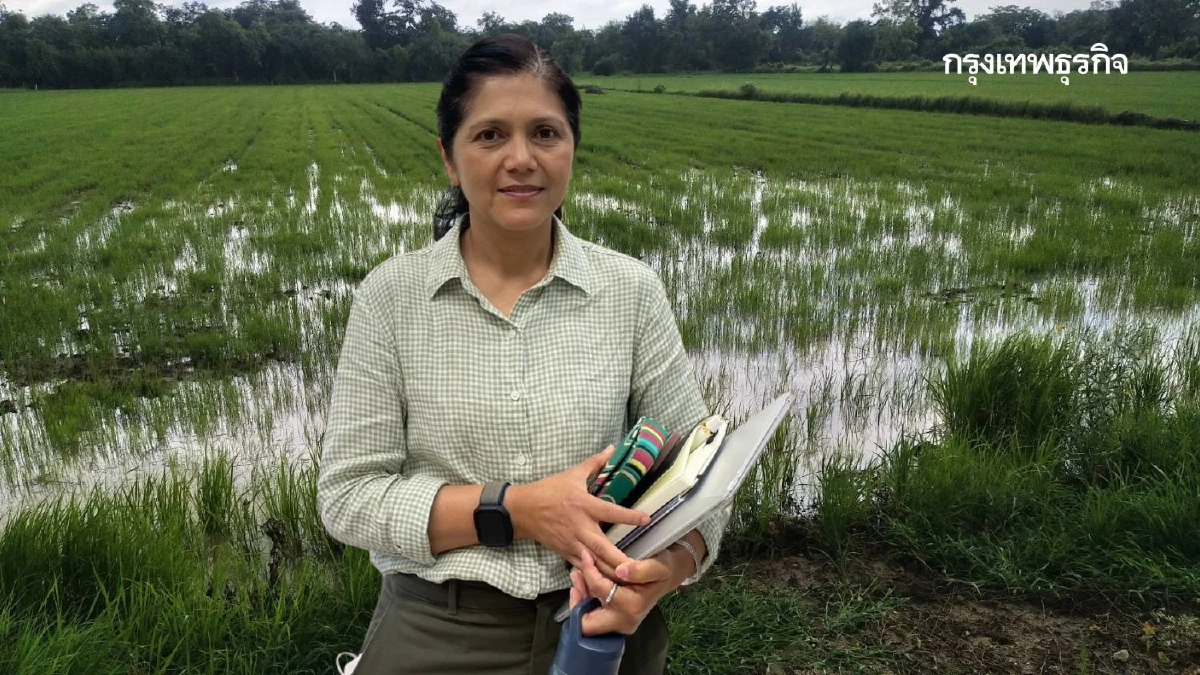 มธ. จี้รัฐเตือนภัย 'ไข้ดิน' คนอีสาน ฤดูฝนระบาดหนัก ดับแล้ว 72 ราย