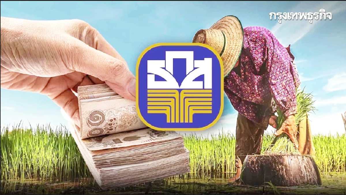 เช็กก่อน ธ.ก.ส. แจงด่วน เงินไร่ละ 1000 ล่าสุด เงินช่วยเหลือชาวนา