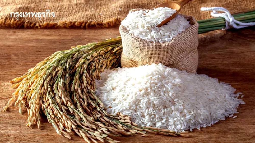 ราคาข้าวยังร่วงต่อเซ่นสต๊อกท่วมโลก  ซ้ำปัจจัยผลผลิตสูงเป็นประวัติการณ์