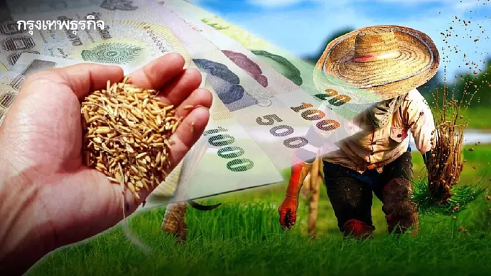 เข้าแล้ว ธกส. โอนนาปรัง - เงินช่วยเหลือชาวนา ไร่ละ 1000 เหลือกี่รอบ