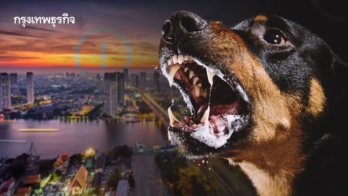 Bangkok Rabies Warning: 5km Animal Quarantine