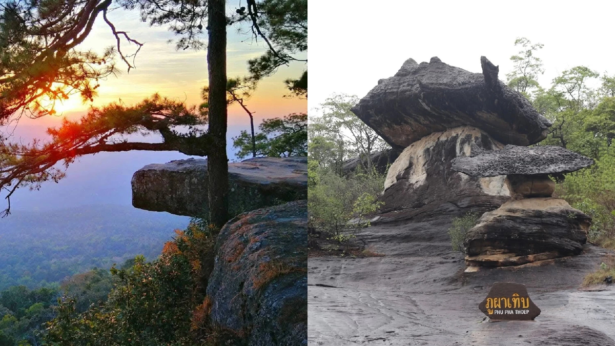 ตอกย้ำความสำเร็จ! กรมอุทยานฯ คว้า 4 รางวัล Thailand Tourism Awards 2025