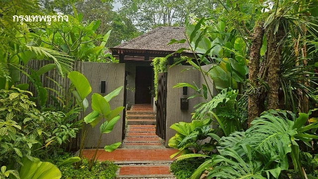 เที่ยวสวนผึ้ง พักที่ ‘ผาปก อีโค่ รีสอร์ท’ รีสอร์ท 4 ดาว กลางธรรมชาติ