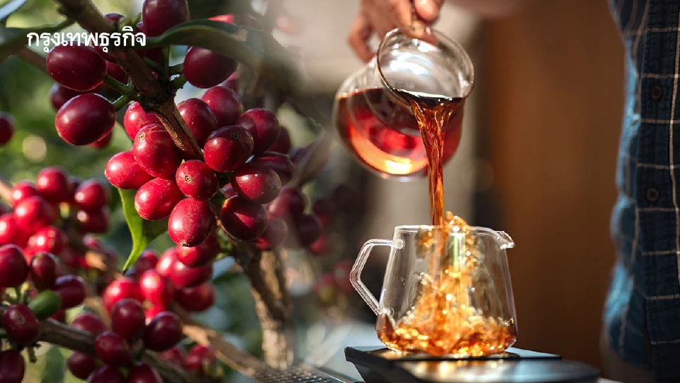 Geisha VS Gesha "คู่แฝด"กาแฟแพงสุดในโลก!