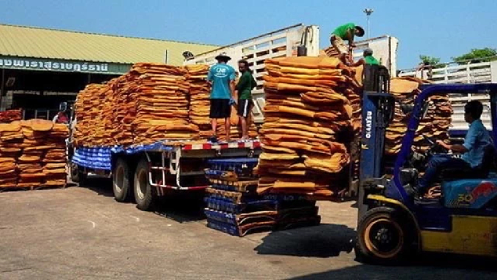 กยท. นำร่องส่งออกยางพาราล็อตแรก หลังจีนยกเว้นภาษีนำเข้า 0%
