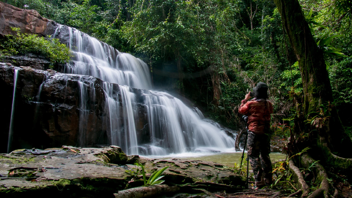 หนึ่งดวงใจในป่ากว้าง แหล่งชมผีเสื้อ 'ปางสีดา' สีสันแห่งปีกบาง
